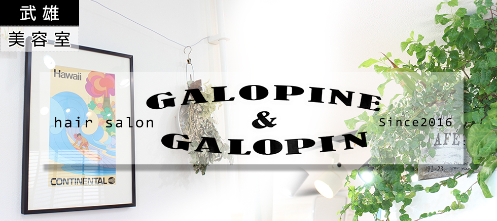 GALOPINE＆GALOPIN(ｶﾞﾛﾋﾟｰﾈ&ｶﾞﾛﾊﾟﾝ)イメージ
