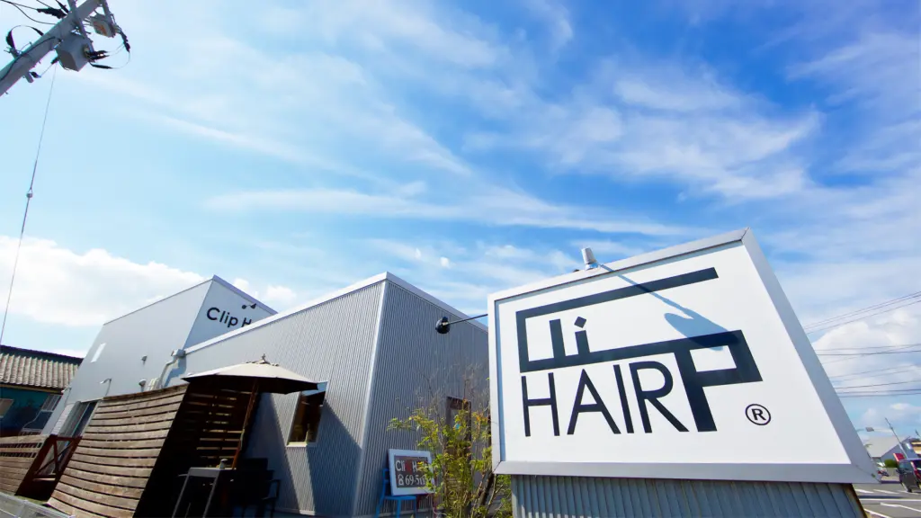 CLIP HAIRの画像