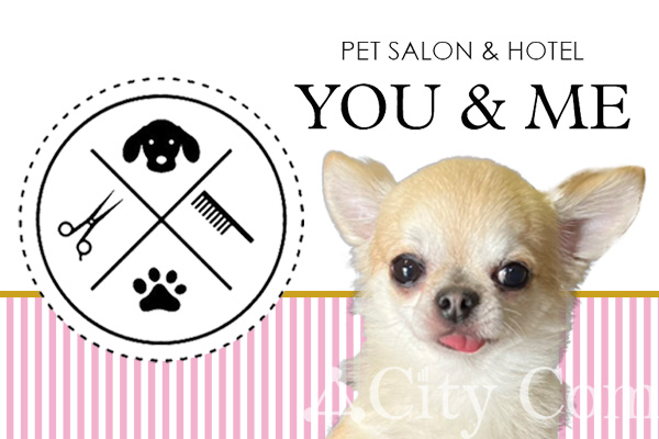 PETSALON & HOTEL YOU&ME