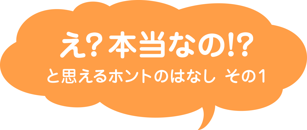 本当のはなし