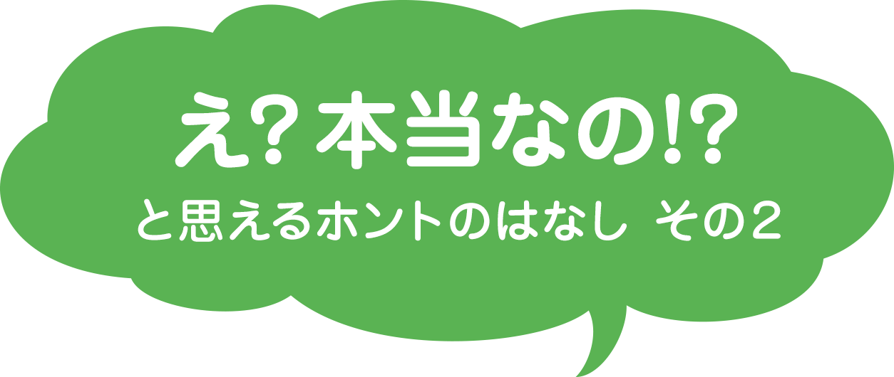 本当のはなし