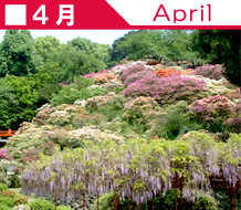 佐賀県鹿島市 観光情報その４｜４月スケジュールイメージ写真