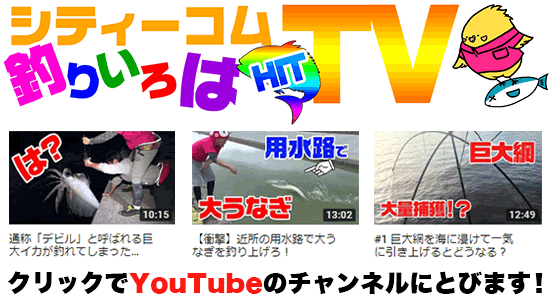 youtubeイメージ