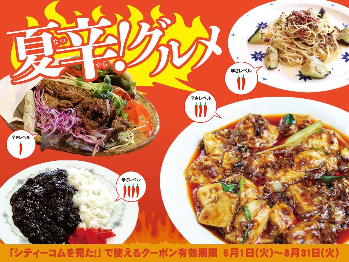 佐賀県南西部 夏辛 グルメ