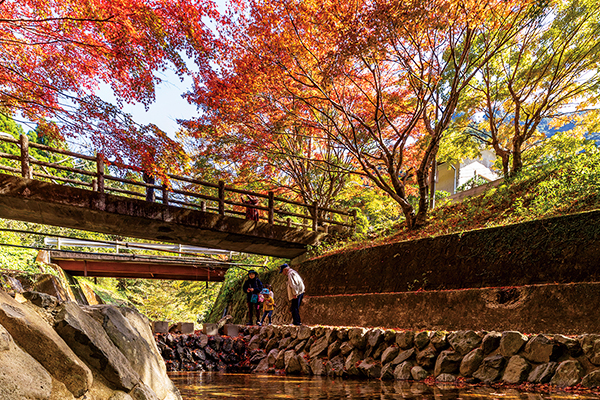 紅葉写真