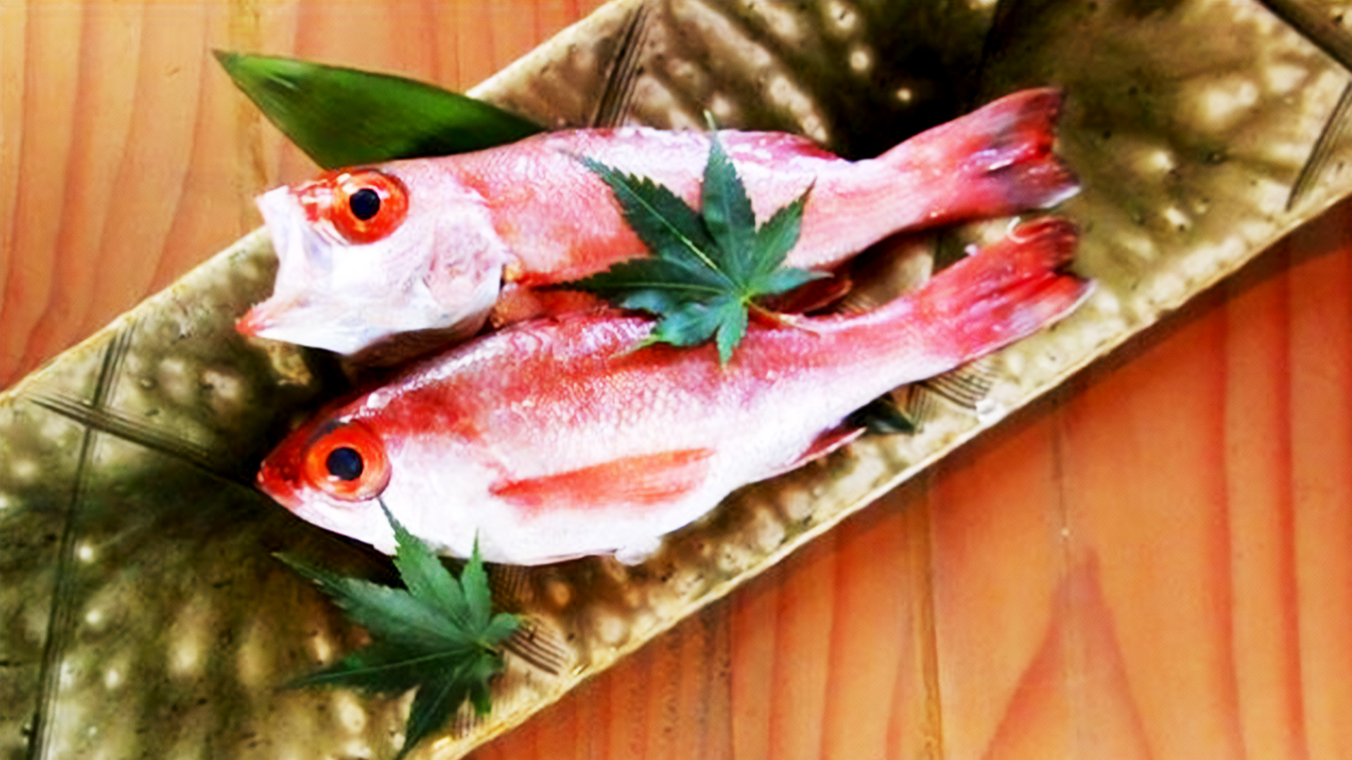 酒食肆 独楽W(コマ)の画像