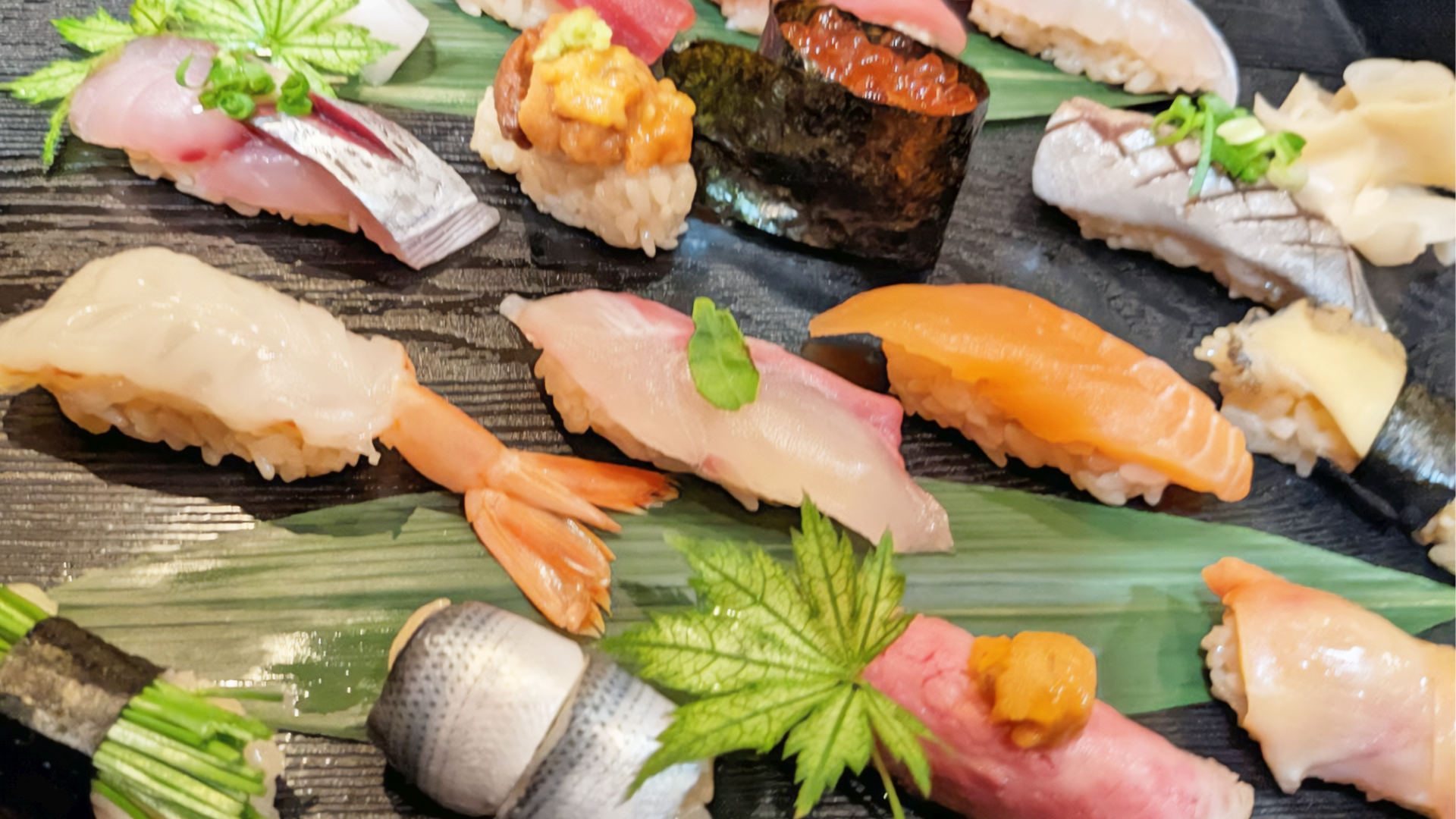 鮨久ちゃんの画像