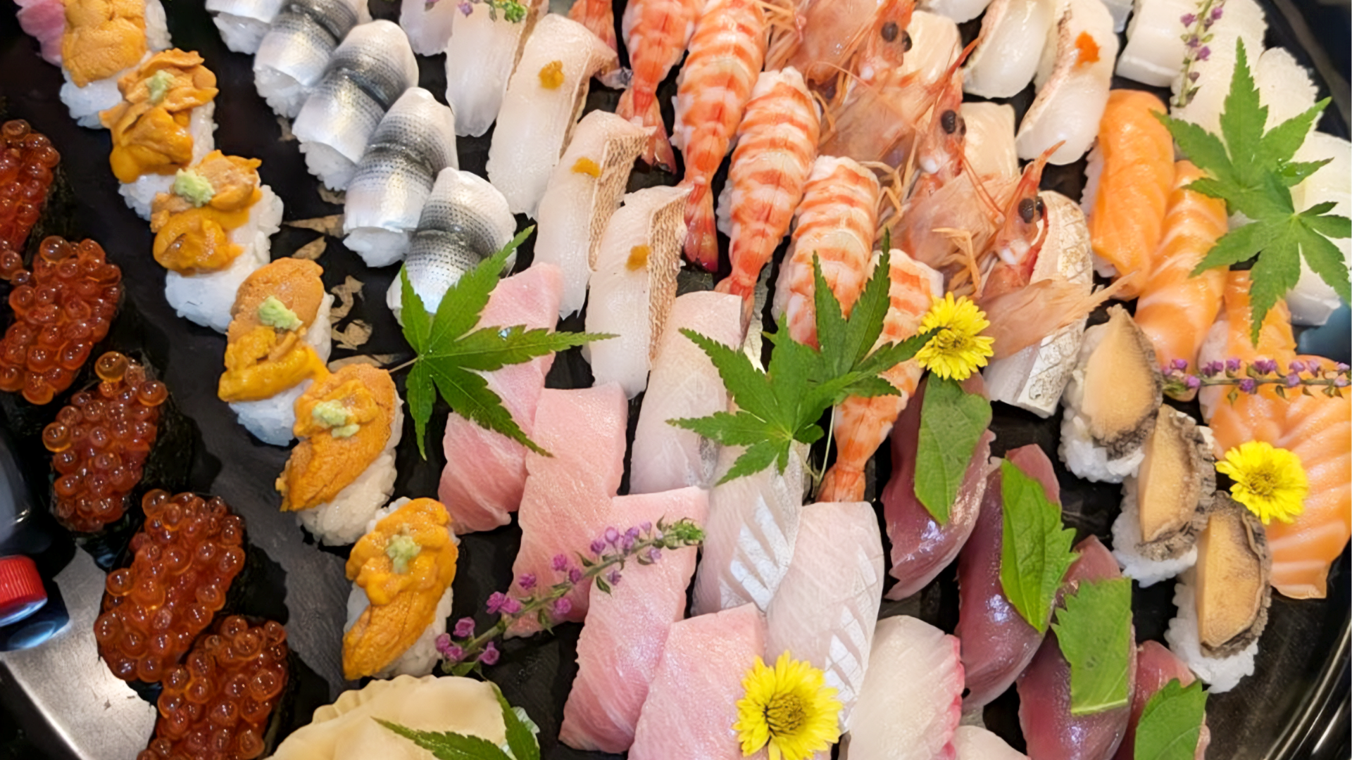 鮨久ちゃんの画像