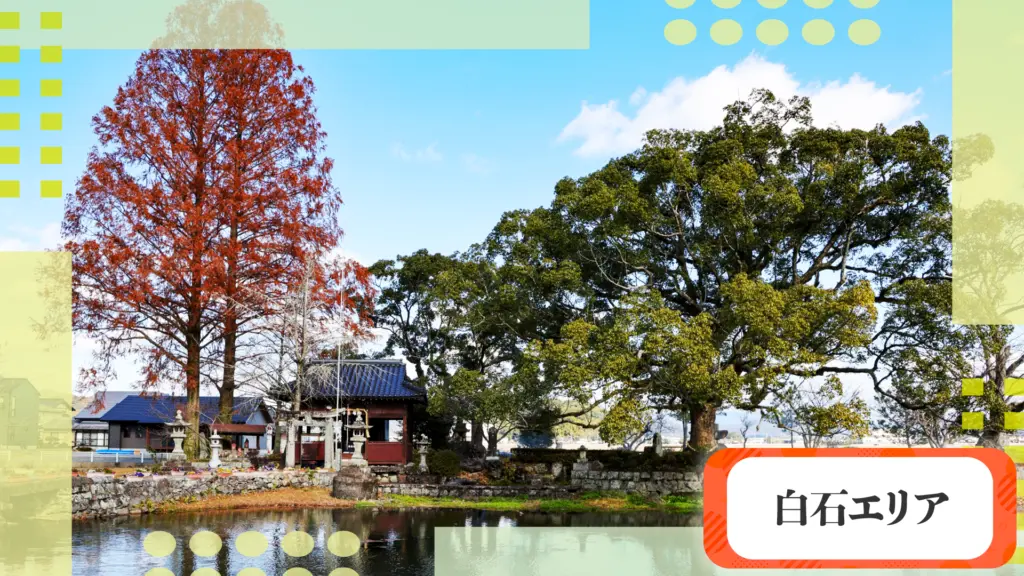 まいにちぽけっとの白石エリアの画像