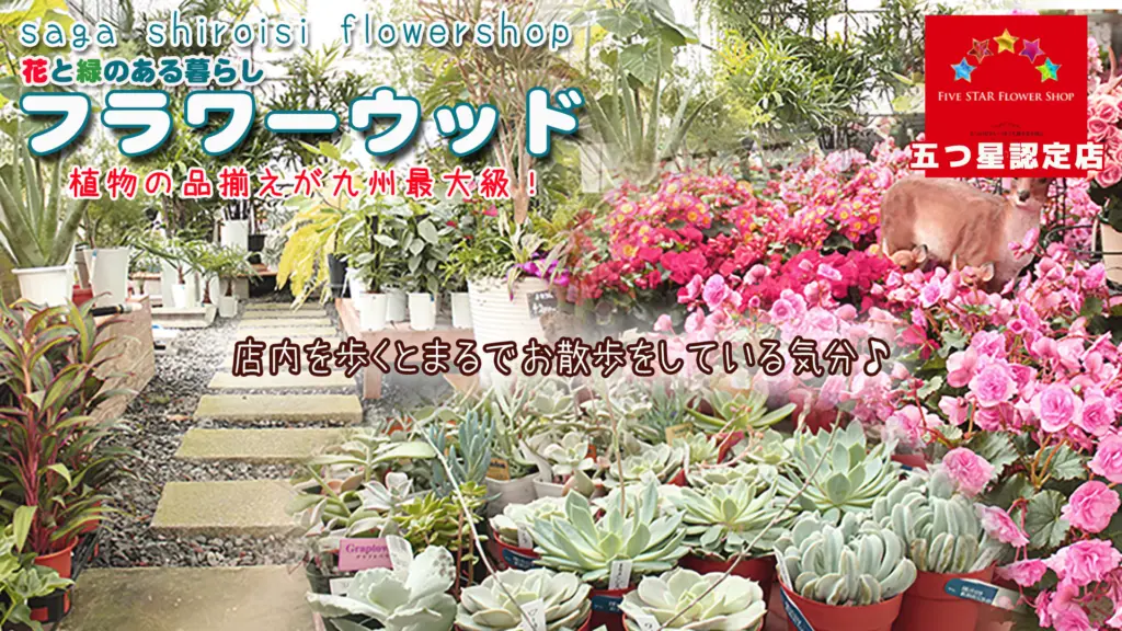 花と緑のある暮らし フラワーウッドのバナー画像