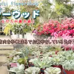 花と緑のある暮らし フラワーウッドのバナー画像