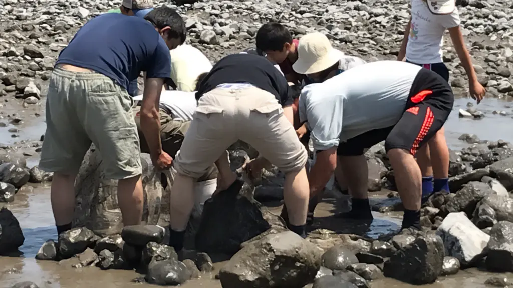 「鹿島市連合青年団」はこんな活動をしています!の画像