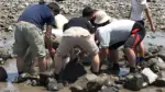 「鹿島市連合青年団」はこんな活動をしています！の画像