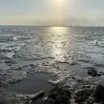 有明海干潟の画像