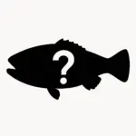 この魚は何でしょう?の画像