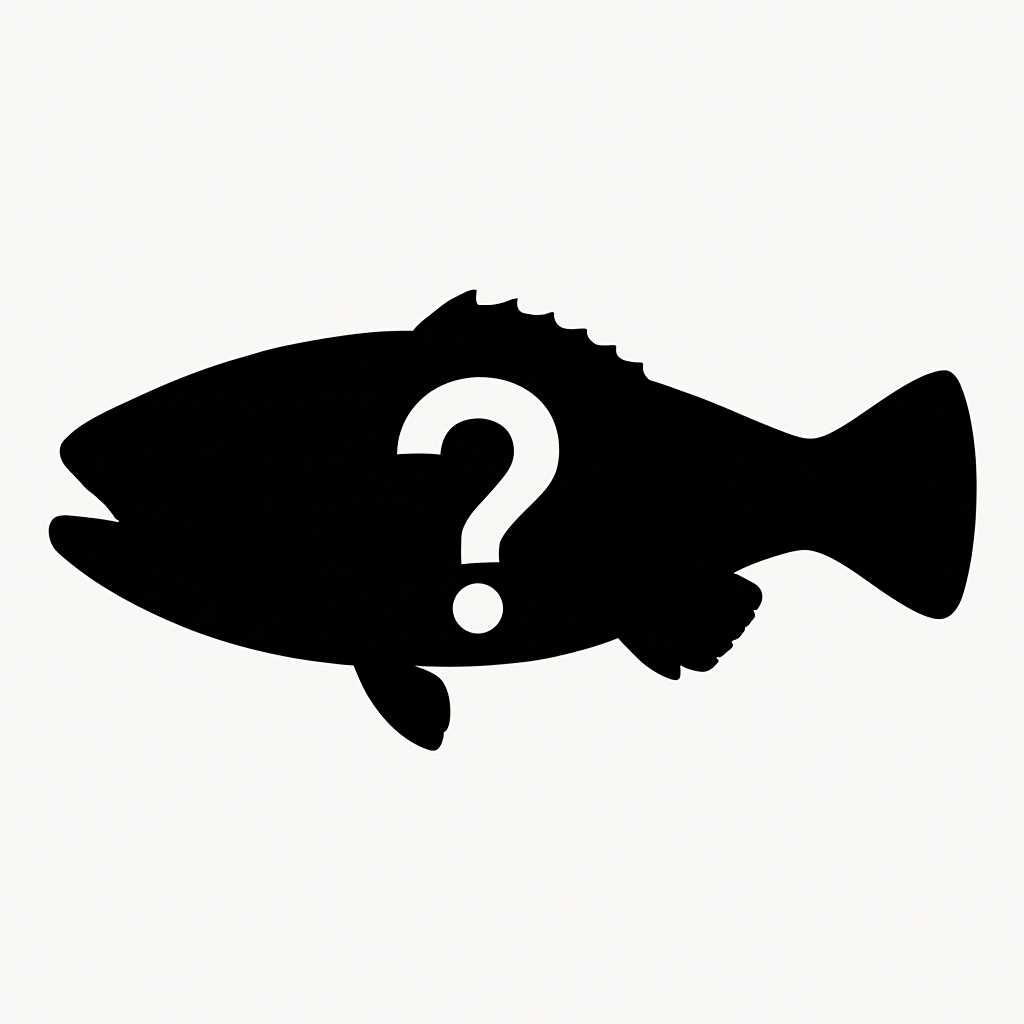 この魚は何でしょう?の画像