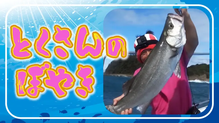 釣りいろはのとくさんの「とくさんのぼやき」の画像