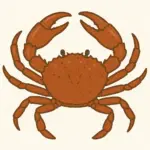 カニの画像