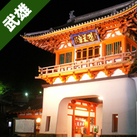 武雄観光 楼門(武雄温泉)