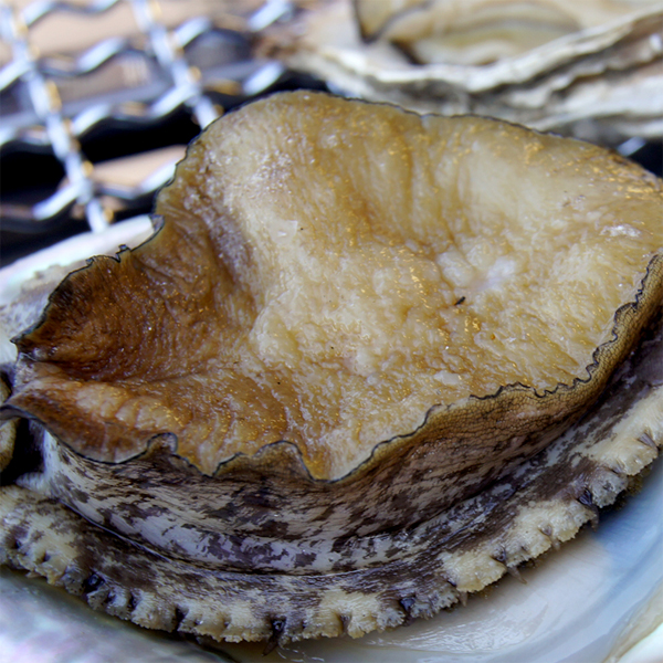 太良町うまかもん！牡蠣・アワビ・他海の幸てんこ盛り